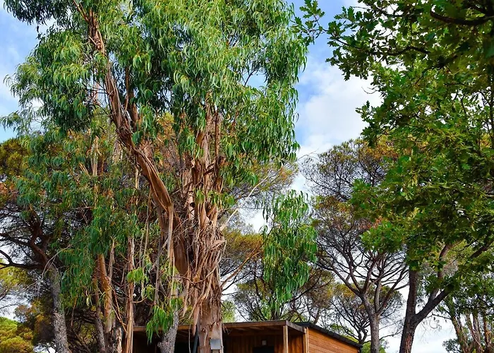 La Croix Du Sud Kemp Ramatuelle